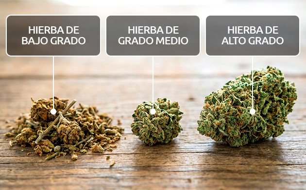 calidad de la hierba