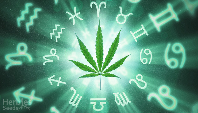 stoner horoscope