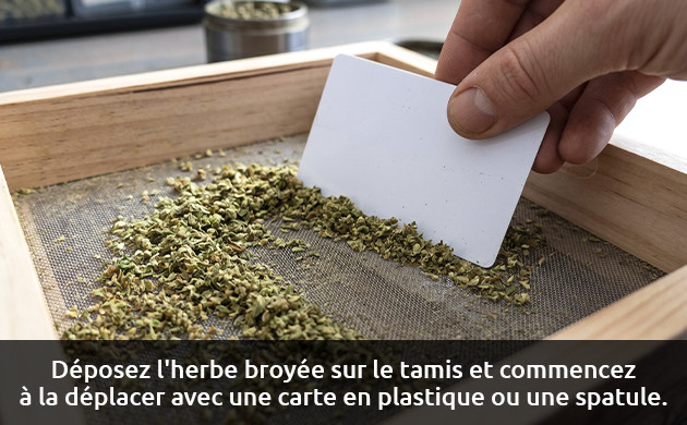 Comment collecter du kief comment utiliser le kief