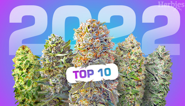 Top-10 autoflowering Sorten 2022