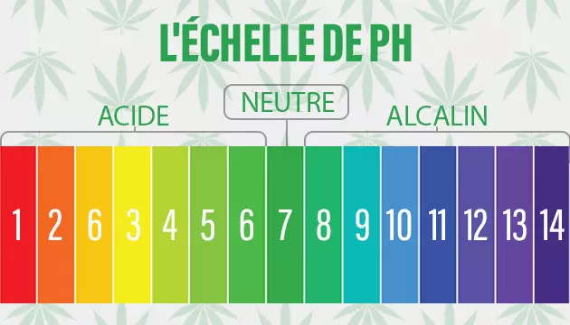 Qu’est-ce que c’est la valeur du pH ?