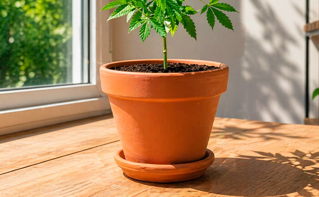 pots standards en terre cuite