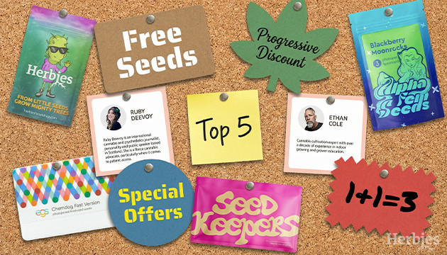 How We’d Build a Smarter Herbies Order in the USA Right Now how we’d build a smarter herbies order in the usa right now