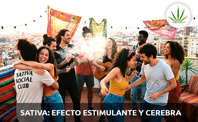 Sativas: marihuanas que te hacen reír