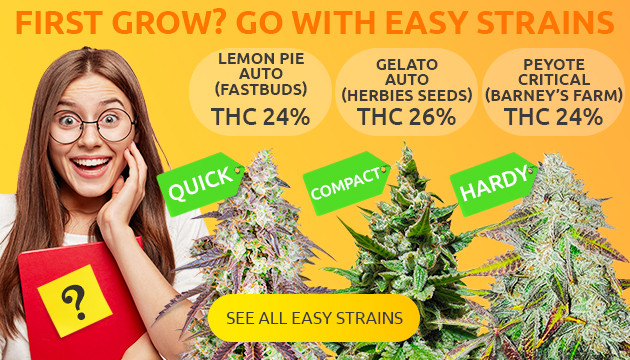 easy cannabis strains