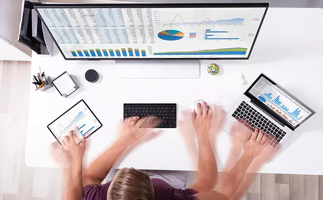best strains for productivity