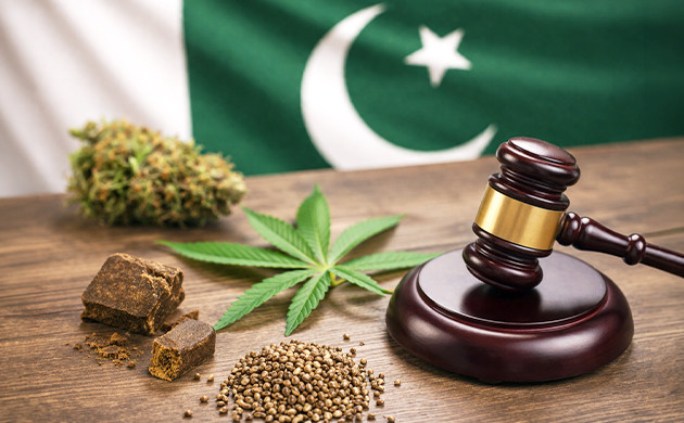 legal cannabis in pakistan