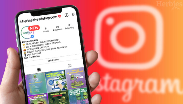 segui Il nostro nuovo profilo instagram