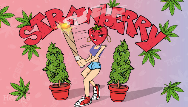 strawberry weed strains