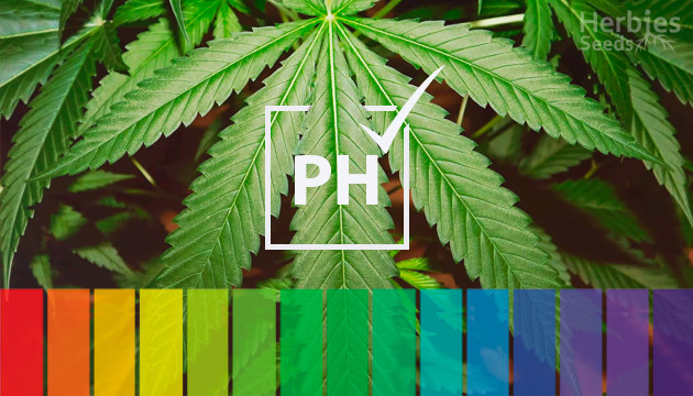 pH for weed