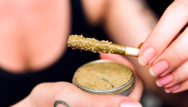 how much thc is in kief