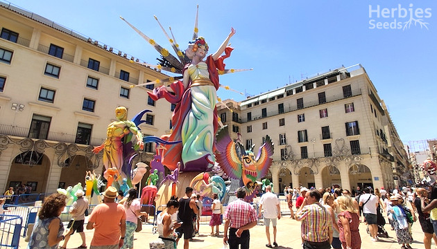 fete de la saint-jean-baptiste