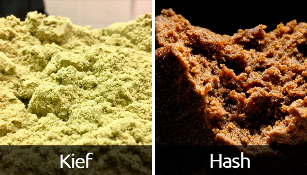Kief — Everything You Need To Know About Cannabis Kief – QuitNet