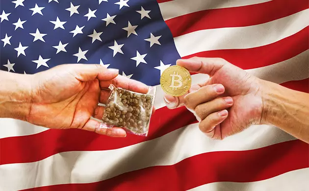 cannabis seeds bitcoin usa shipping