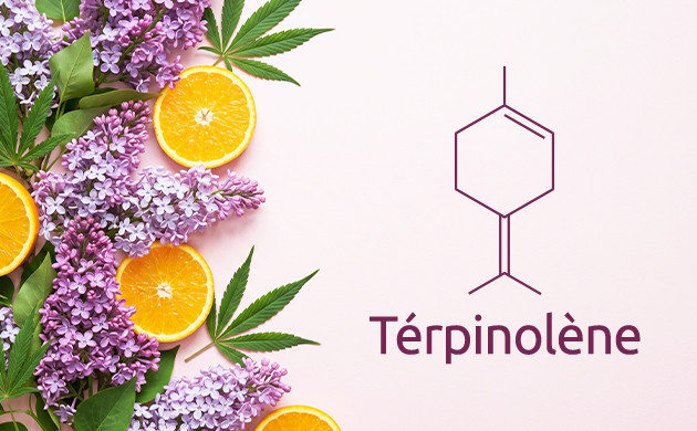 terpinolene