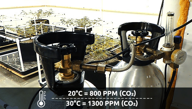 générateur de co2 pour plantes