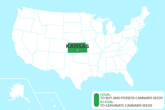 marijuana seeds in Kansas