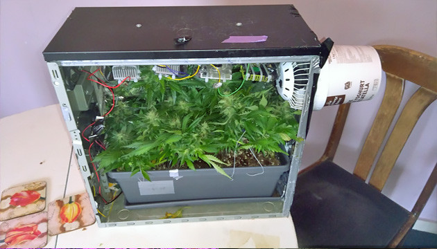 pc micro grow box