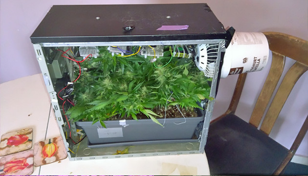 PC Micro Grow Box