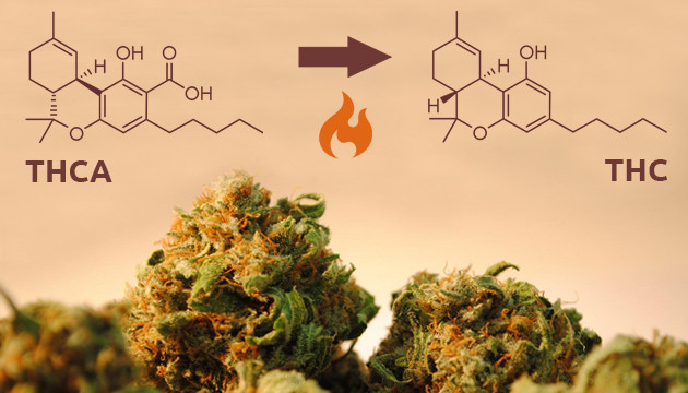 Un peu de chimie : la décarboxylation