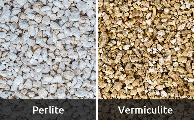 perlite vs vermiculite