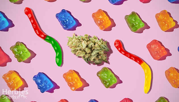 Recipe: Ganja Gummies