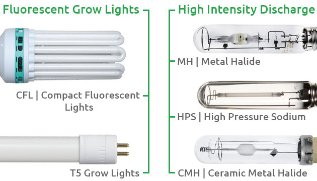 best growing lights