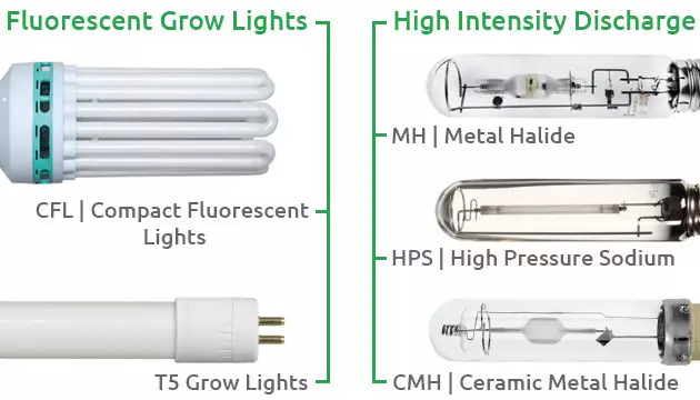 best growing lights