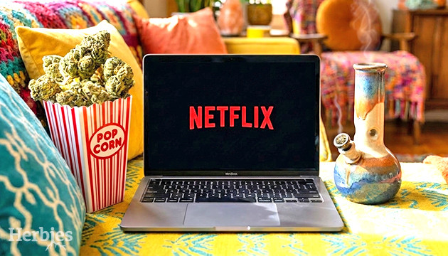 I migliori programmi sull'erba per abbuffarsi su netflix questa settimana the best weed related shows to binge on netflix this week