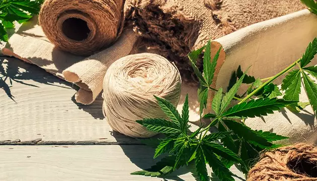 how to make a male plant female