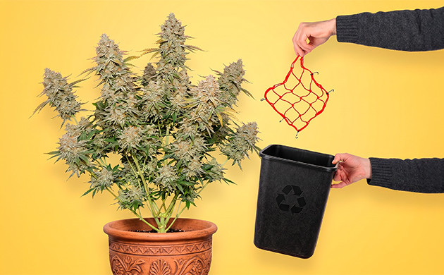 easy scrog without a net