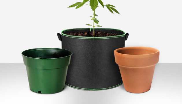 cannabis growing equipment