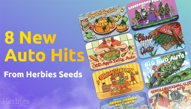 8 autoflowering versions of herbies seeds hits are here