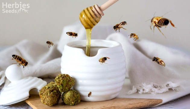 how to make cannabis honey