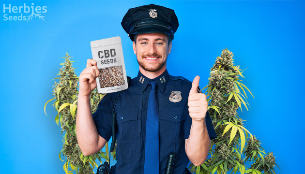 Cannabis Seeds Legal to Grow