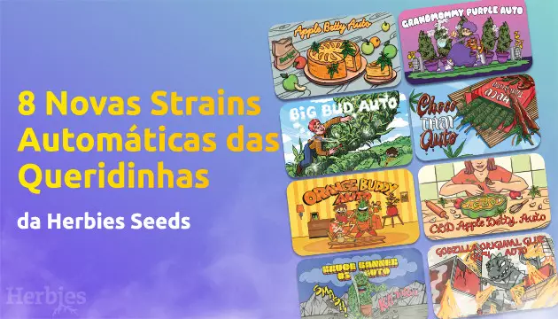 chegaram 8 versoes autoflorescentes das queridinhas da herbies seeds