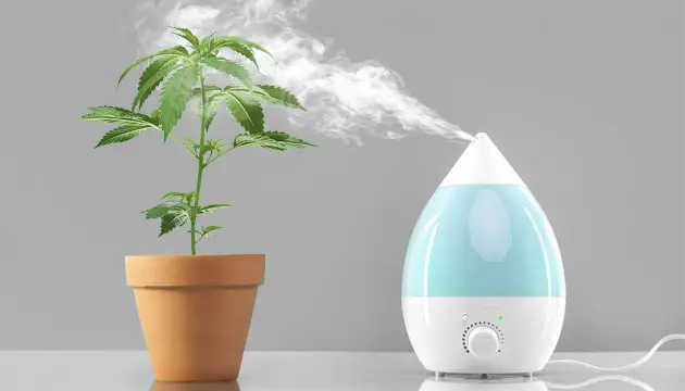 how high should humidity levels be during the flowering phase
