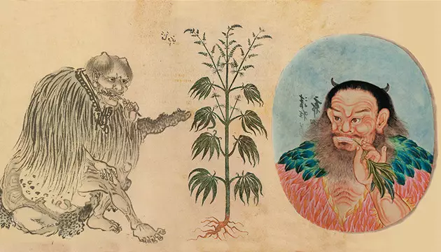 landrace cannabis seeds