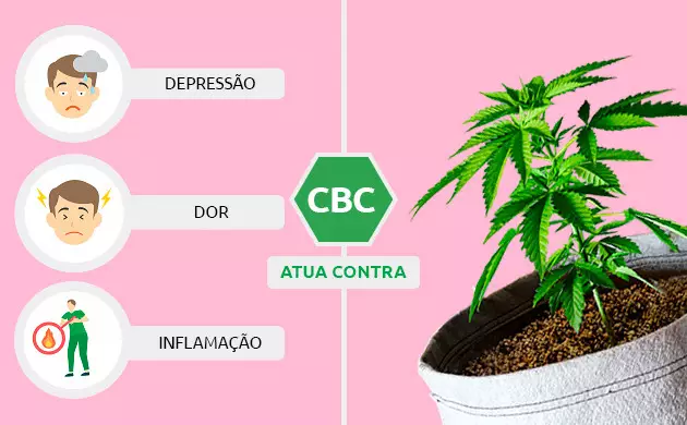 cbn
