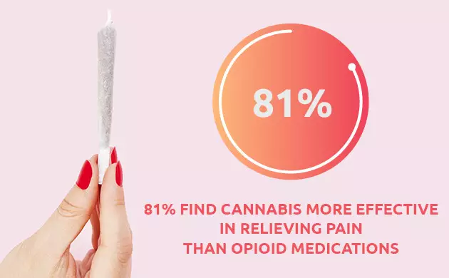 How Can Cannabis Help with Pain?