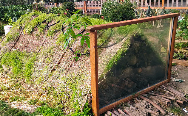 Germans Learned to Create Living Soil