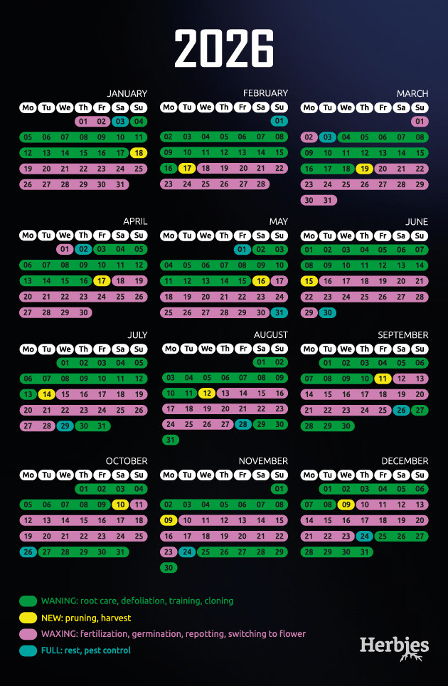 calendário lunar 2025 para sementes de cannabis