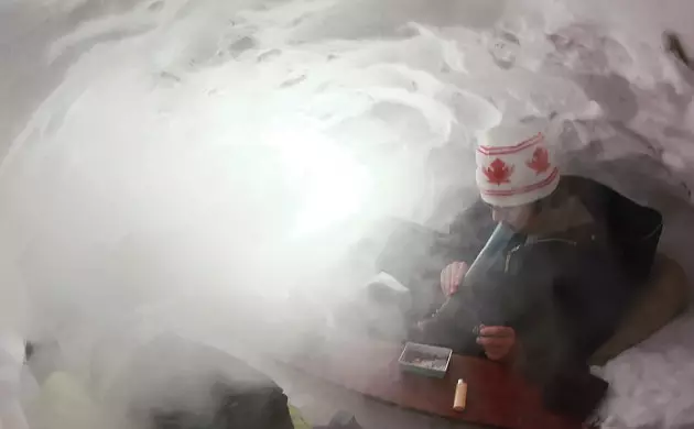 jamaican hotbox