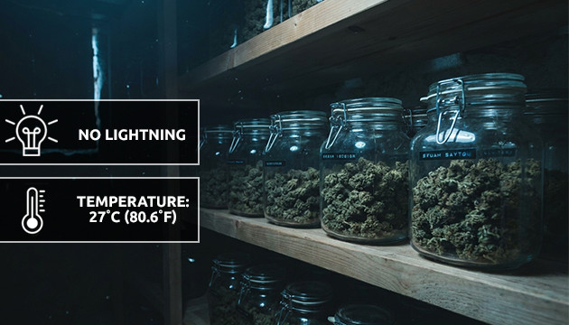 ใช้เวลานานเท่าใดกว่าวัชพืชจะแห้ง how to dry out weed fast