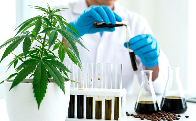 Kaffee und Marihuana