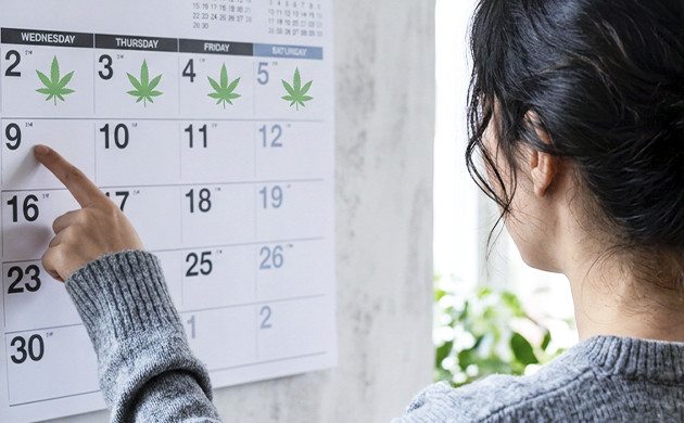 Myth: weed stays in your system For A Month fun facts about marijuana