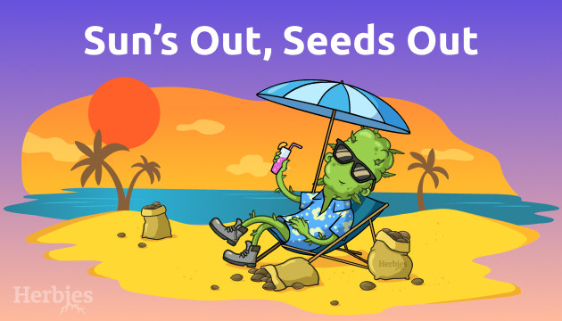 summer bank holiday promo