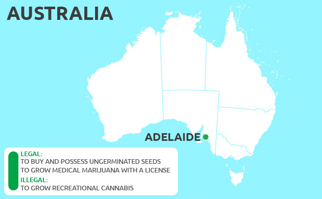 Can You Grow Cannabis in Adelaide