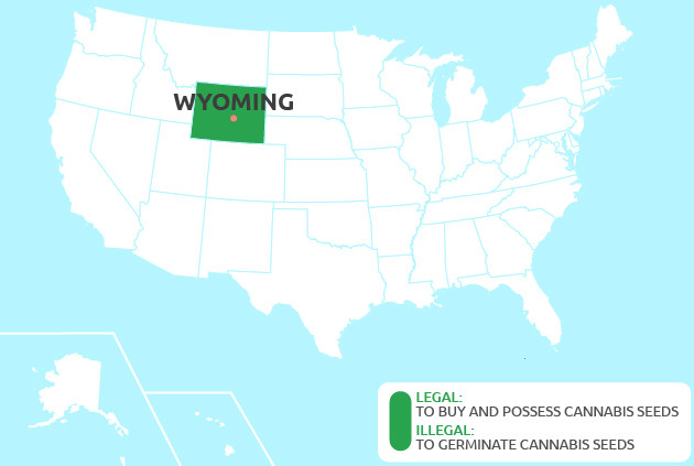 cannabis seeds in Wyoming