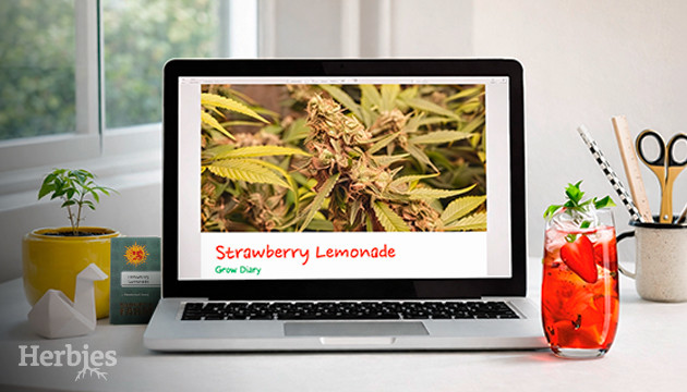 Holiday Hours At Herbies holiday hours at Herbies